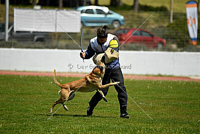 Xtreme vom Further Moor