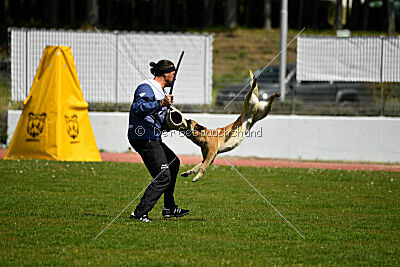 Xtreme vom Further Moor