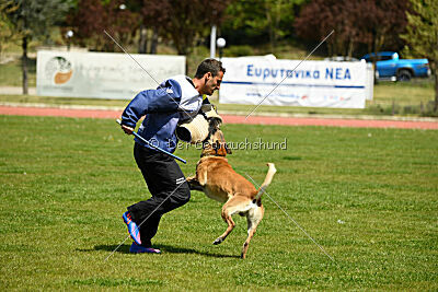 Xtreme vom Further Moor