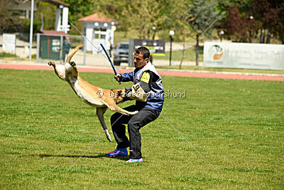 Xtreme vom Further Moor