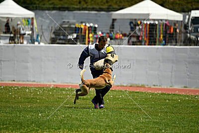 Xtreme vom Further Moor