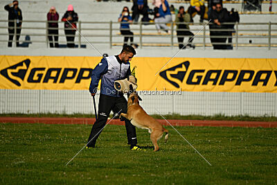 Xtreme vom Further Moor