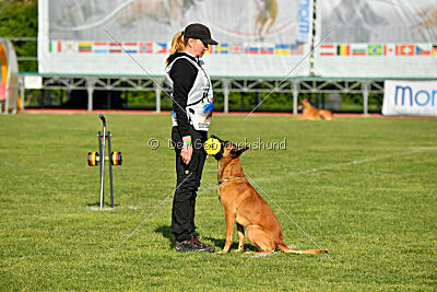 Y'Maximus vom Rheurdter Land