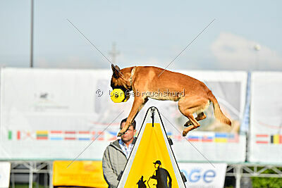 Y'Maximus vom Rheurdter Land