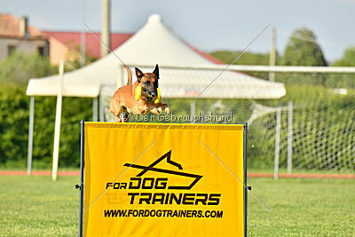 Y'Maximus vom Rheurdter Land