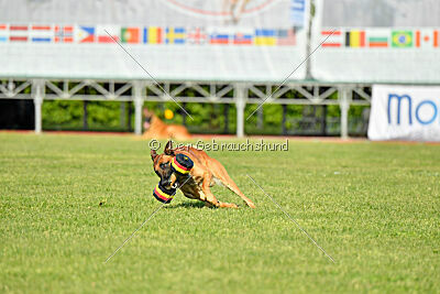 Y'Maximus vom Rheurdter Land