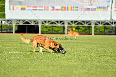 Y'Maximus vom Rheurdter Land