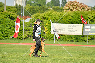 Y'Maximus vom Rheurdter Land