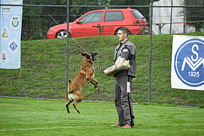 Yak vom Further Moor