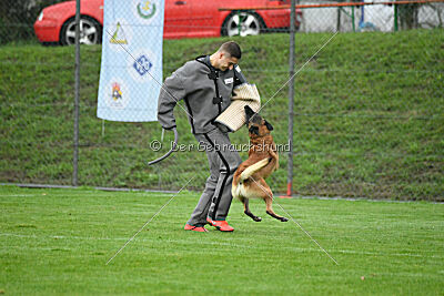 Yak vom Further Moor