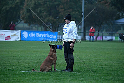 Yak vom Further Moor