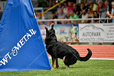 Yakie vom Ottilienstein