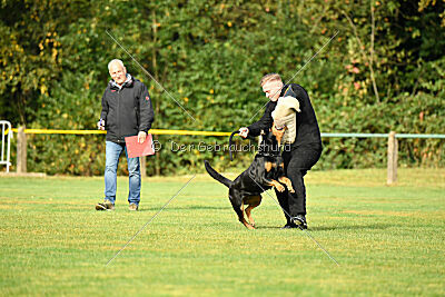 Yakima vom Hause Neubrand