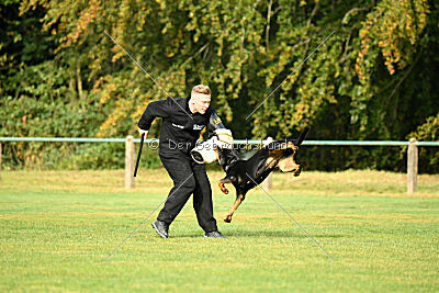 Yakima vom Hause Neubrand