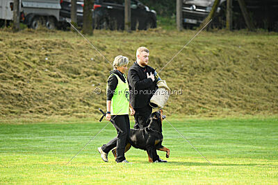 Yakima vom Hause Neubrand