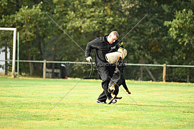 Yakima vom Hause Neubrand