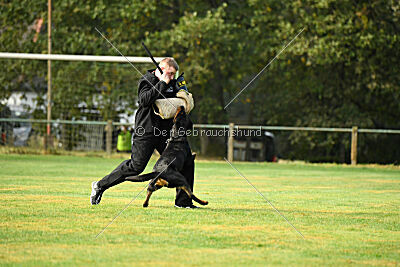 Yakima vom Hause Neubrand