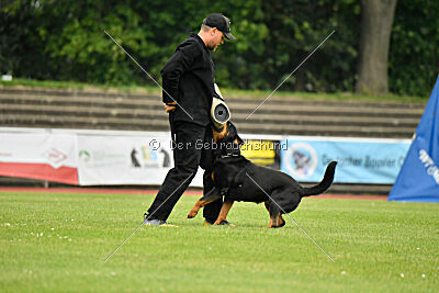 Yakima vom Hause Neubrand