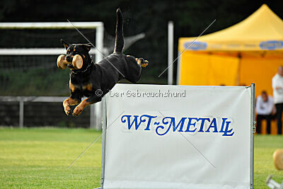 Yakima vom Hause Neubrand