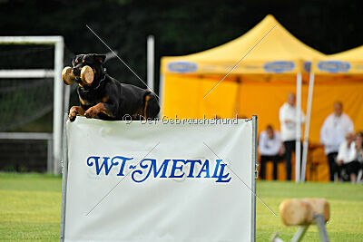 Yakima vom Hause Neubrand