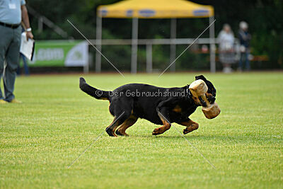 Yakima vom Hause Neubrand