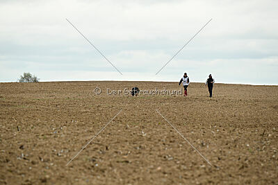 Yaro von Lindesfarne