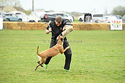 Yes Of Course von der Steinteichmühle