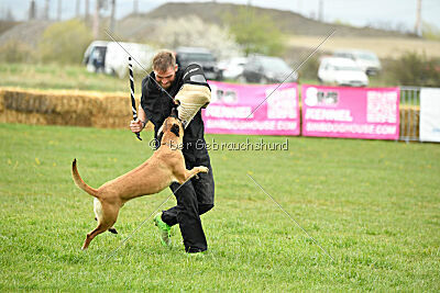 Yes Of Course von der Steinteichmühle