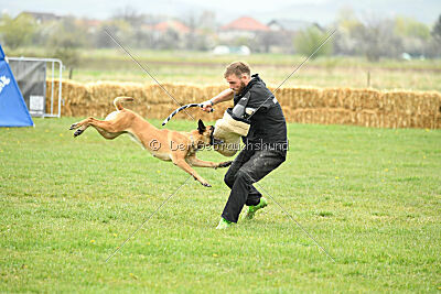 Yes Of Course von der Steinteichmühle
