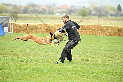 Yes Of Course von der Steinteichmühle
