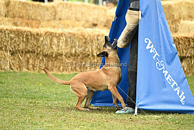 Yes Of Course von der Steinteichmühle