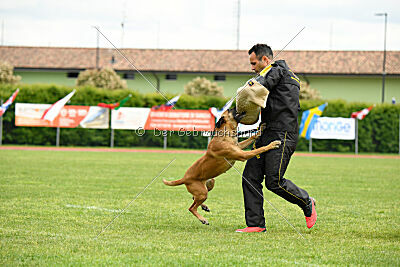 Yes Of Course von der Steinteichmühle