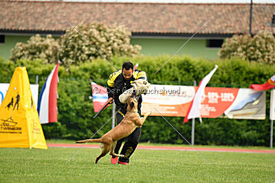 Yes Of Course von der Steinteichmühle