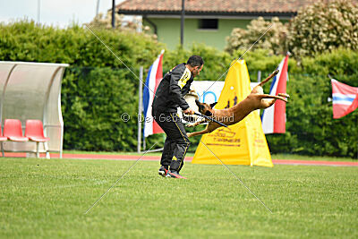 Yes Of Course von der Steinteichmühle