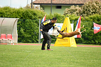 Yes Of Course von der Steinteichmühle