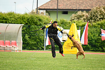 Yes Of Course von der Steinteichmühle