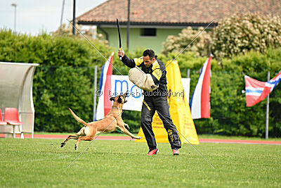 Yes Of Course von der Steinteichmühle