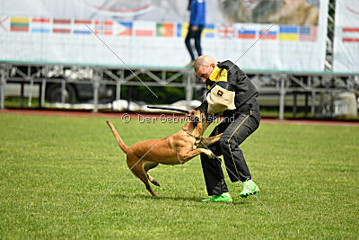 Yes Of Course von der Steinteichmühle