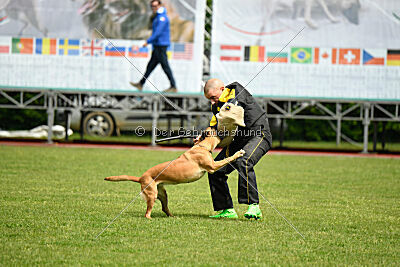 Yes Of Course von der Steinteichmühle