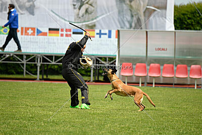 Yes Of Course von der Steinteichmühle