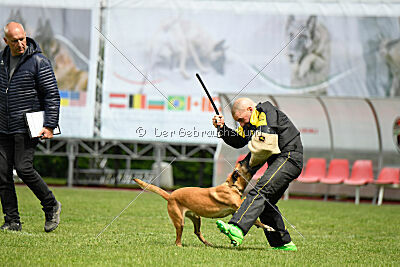 Yes Of Course von der Steinteichmühle