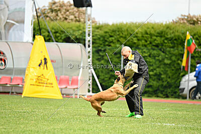 Yes Of Course von der Steinteichmühle