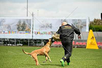 Yes Of Course von der Steinteichmühle