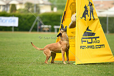 Yes Of Course von der Steinteichmühle