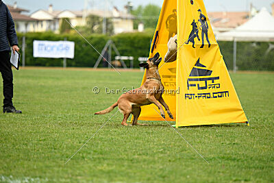 Yes Of Course von der Steinteichmühle