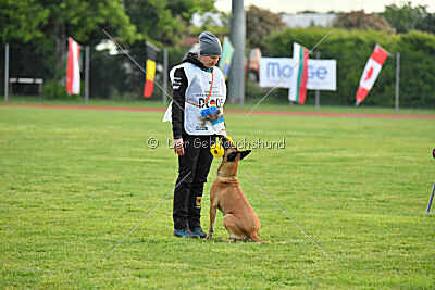 Yes Of Course von der Steinteichmühle