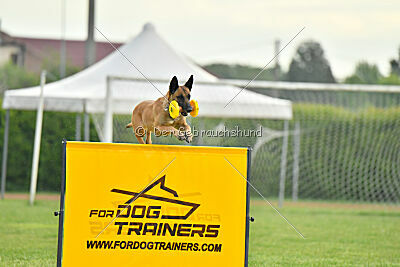 Yes Of Course von der Steinteichmühle