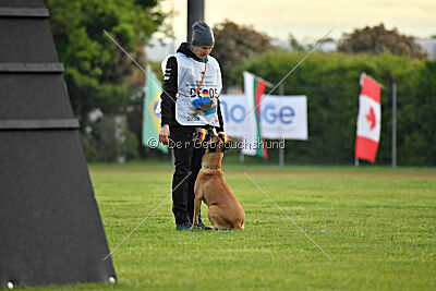 Yes Of Course von der Steinteichmühle