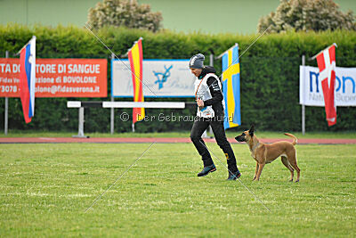 Yes Of Course von der Steinteichmühle