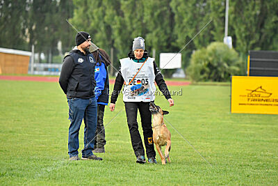 Yes Of Course von der Steinteichmühle